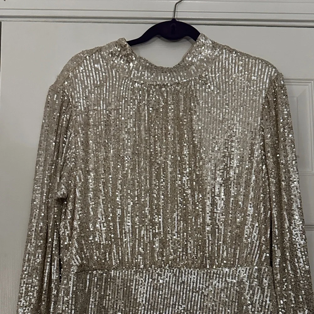 Silver Sequin Long Sleeve Dress - Picture 2 of 16